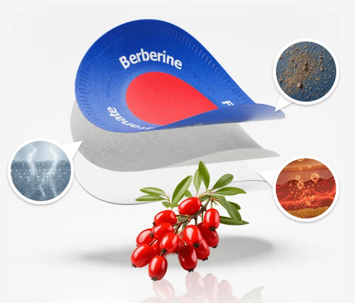 Purisaki Berberine Patch — Buy USA Order